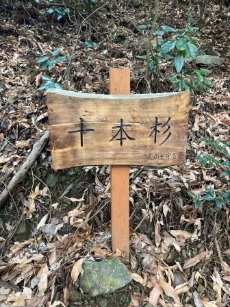 十本杉
