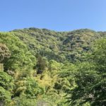 山笑う